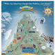 Andrew Cuomo's pandemic poster
